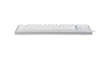 REALFORCE リアルフォース　キーボード　R2TLSA-JP3M 販売終了】REALFORCE SA for Mac / R2SA-JP3M-BK – アーキサイト